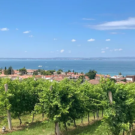 Daire 1 Bedroom Lovely In Bardolino